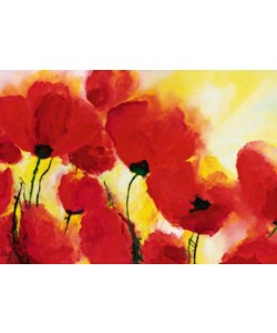 Heidi Reil, Roter Mohn Toskana