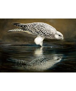 Renato Casaro, Drinking Falcon