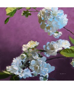 Rick Novak, Blossom I