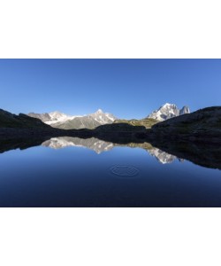 Roberto Moiola, Les Drus