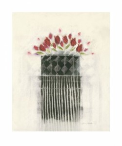 Marilyn Robertson, BLACK AN WHITE/ROSES-BOXED