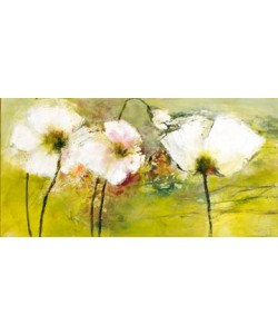 Rose Lamparter, Weißer Mohn