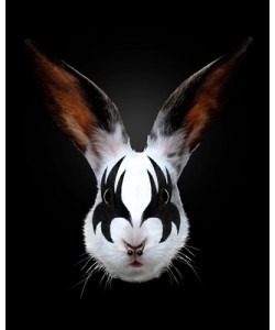 Robert Farkas, Rabbit Rocks