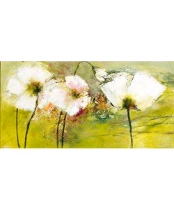 Rose Lamparter, Weißer Mohn