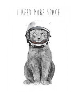 Balazs Solti, I Need More Space