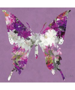 Sally Scaffardi, Butterfly