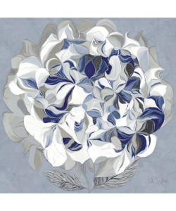 Sally Scaffardi, Elegant Hydrangea Ii