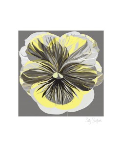 Sally Scaffardi, Pansies I