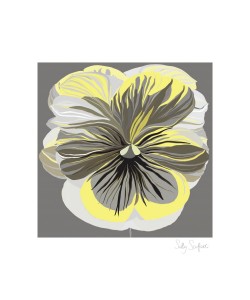 Sally Scaffardi, Pansies Ii