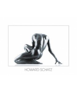 Howard Schatz, sthetik