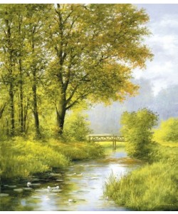 Heinz Schölnhammer, DREAMY CREEK II