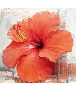 Enrico Sestillo, Hibiscus I