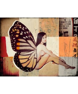 Shirin Donia, Butterfly II