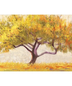 Shirley Novak, Apricot Tree
