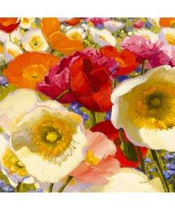 Shirley Novak, Sunny Abundance II