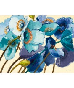 Shirley Novak, Le Pavots Bleu