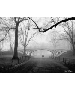 Henri Silberman, Gothic Bridge, Central Park NYC