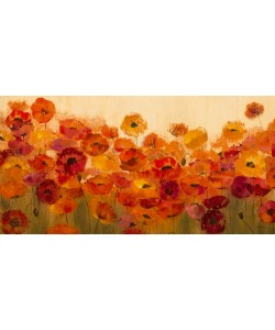 Silvia Vassileva, Summer Poppies