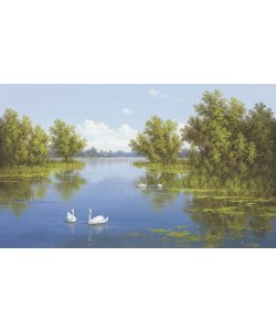 Slava, RIVER WITH SWANS I