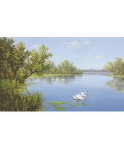 Slava, RIVER WITH SWANS II