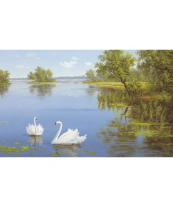 Slava, SWANS ON THE LAKE