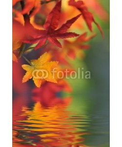 Stefan Körber, Herbstlaub