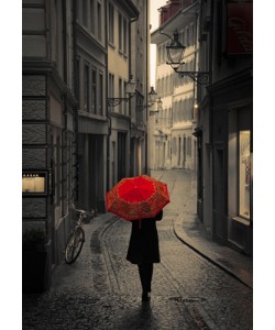 Stefano Corso, Red Rain