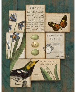 Sue Schlabach, Birds and Butterflies I