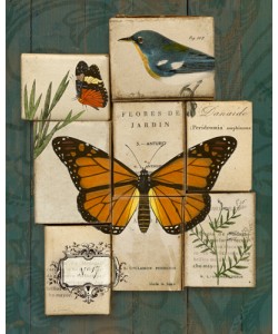 Sue Schlabach, Birds and Butterflies II