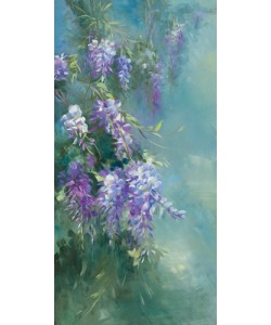 Sylvie Vernageau, Glycine