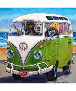 CR Townsend, Hang Loose