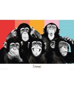 Unbekannt - The Chimp Compilation Pop Art