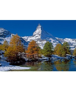 Thomas Marent, Matterhorn with larches II