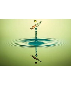 Tobias Bräuning, Der Spiegel