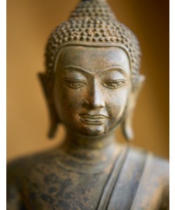 Tom Weber, Buddha 1