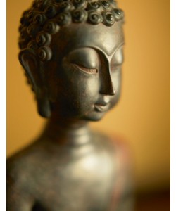 Tom Weber, Buddha 2