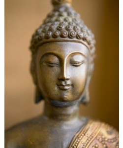 Tom Weber, Buddha 4