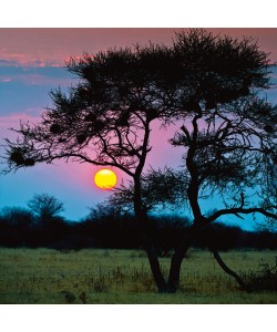 Ulf Brömmelhörster, End of the Day