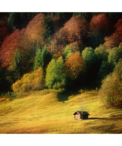 Uwe Steger, Nature Art Color II