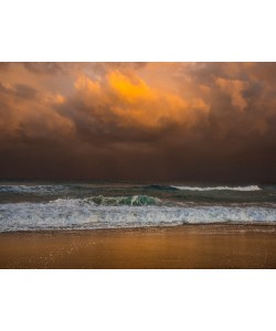 Verne Varona, Shoreline Gold