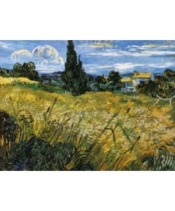 Vincent van Gogh, Campo di grano