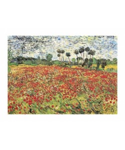 Vincent van Gogh, Field of Poppies