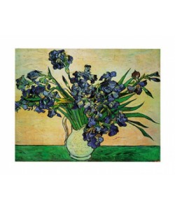 Vincent van Gogh, Iris Strauss, 1890
