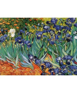 Vincent van Gogh, Iris