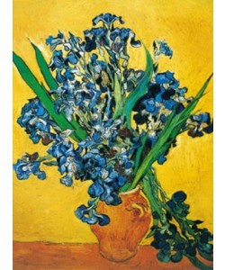 Vincent van Gogh, Les iris