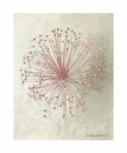 Elisabeth Verdonck, ALLIUM SEEDHEAD II