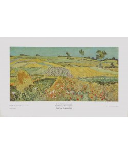 Vincent van Gogh, Die Ebene von Auvers-Sur-Oise
