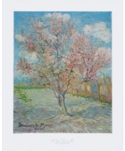 Vincent van Gogh, Souvenir de Mauve (Blühender Baum)