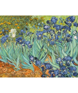 Vincent van Gogh, Iris