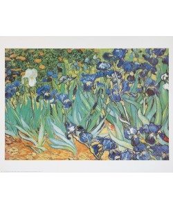 Vincent van Gogh, Schwertlilien - Iris Garden
